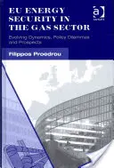 La seguridad energética de la UE en el sector del gas: Dinámica evolutiva, dilemas políticos y perspectivas - Eu Energy Security in the Gas Sector: Evolving Dynamics, Policy Dilemmas and Prospects