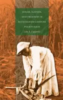 Azúcar, esclavitud y libertad en el Puerto Rico del siglo XIX - Sugar, Slavery, and Freedom in Nineteenth-Century Puerto Rico