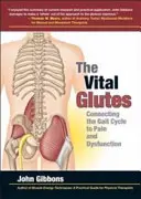 Glúteos vitales - Conexión del ciclo de la marcha con el dolor y la disfunción - Vital Glutes - Connecting the Gait Cycle to Pain and Dysfunction