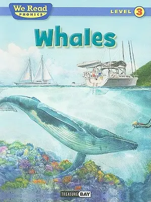 Ballenas - Whales