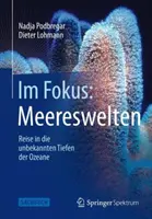 Im Fokus: Meereswelten: Viaje a las profundidades desconocidas del Océano Índico - Im Fokus: Meereswelten: Reise in Die Unbekannten Tiefen Der Ozeane