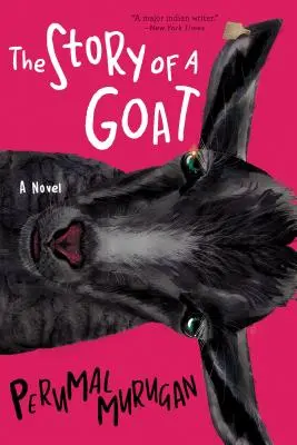 La historia de una cabra - The Story of a Goat