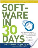 Software in 30 Days: How Agile Managers Beat the Odds, Delight Their Customers, and Leave Competitors in the Dust (Software en 30 días: Cómo los gestores ágiles vencen las probabilidades, deleitan a sus clientes y dejan a los competidores en el polvo) - Software in 30 Days: How Agile Managers Beat the Odds, Delight Their Customers, and Leave Competitors in the Dust