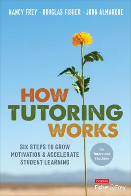 Cómo funciona la tutoría: Seis pasos para aumentar la motivación y acelerar el aprendizaje de los alumnos - How Tutoring Works: Six Steps to Grow Motivation and Accelerate Student Learning