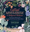 Cattail Moonshine & Milkweed Medicine: Las curiosas historias de 43 asombrosas plantas autóctonas de Norteamérica - Cattail Moonshine & Milkweed Medicine: The Curious Stories of 43 Amazing North American Native Plants