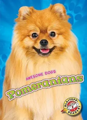 Pomeranias - Pomeranians