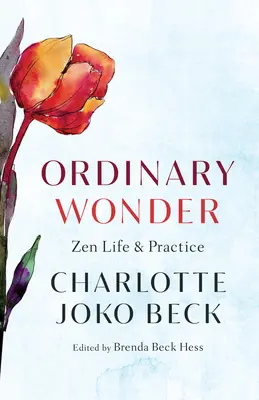 Ordinary Wonder: Vida y práctica zen - Ordinary Wonder: Zen Life and Practice