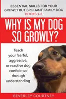 Essential Skills for your Growly but Brilliant Family Dog: Libros 1-3: Cómo entender a su perro miedoso, reactivo o agresivo, y estrategias y tecnología - Essential Skills for your Growly but Brilliant Family Dog: Books 1-3: Understanding your fearful, reactive, or aggressive dog, and strategies and tech