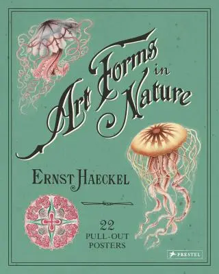 Formas de arte en la naturaleza: 22 pósters desplegables - Art Forms in Nature: 22 Pull-Out Posters