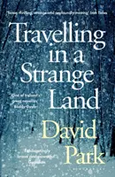 Travelling in a Strange Land - Ganadora de la Novela Irlandesa del Año del Grupo Kerry - Travelling in a Strange Land - Winner of the Kerry Group Irish Novel of the Year