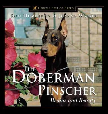 El Doberman Pinscher: Cerebro y belleza - The Doberman Pinscher: Brains and Beauty