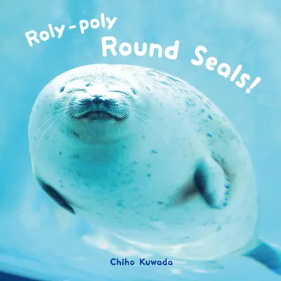 Focas redondas de Roly-Poly - Roly-Poly Round Seals!