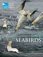 Rspb Aves marinas - Rspb Seabirds