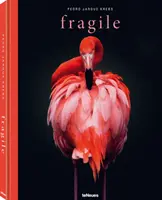 Frágil - Fragile