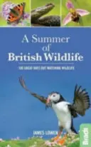 Verano de la fauna británica: 100 días maravillosos para observar la vida salvaje - Summer of British Wildlife - 100 great days out watching wildlife