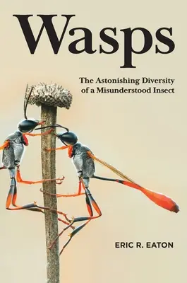 Avispas: La asombrosa diversidad de un insecto incomprendido - Wasps: The Astonishing Diversity of a Misunderstood Insect