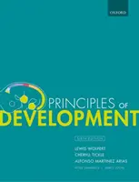 Principios del desarrollo - Principles of Development