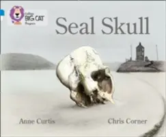 Cráneo de foca - Seal Skull