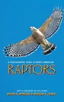 Guía fotográfica de las rapaces norteamericanas - A Photographic Guide to North American Raptors