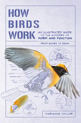 Cómo funcionan las aves: Guía ilustrada de las maravillas de la forma y la función: de los huesos al pico - How Birds Work: An Illustrated Guide to the Wonders of Form and Function--From Bones to Beak