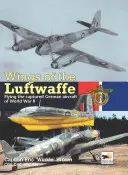 Las alas de la Luftwaffe: El vuelo de los aviones alemanes capturados en la Segunda Guerra Mundial - Wings of the Luftwaffe: Flying the Captured German Aircraft of WWII