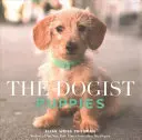 Los cachorros perrunos - The Dogist Puppies