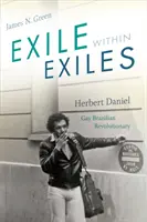 El exilio entre los exiliados: Herbert Daniel, revolucionario gay brasileño - Exile within Exiles: Herbert Daniel, Gay Brazilian Revolutionary