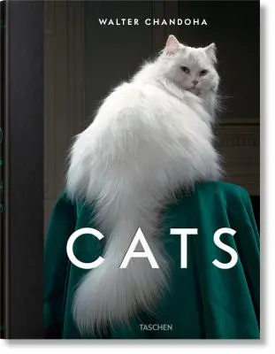 Walter Chandoha. Gatos. Fotografías 1942-2018 - Walter Chandoha. Cats. Photographs 1942-2018