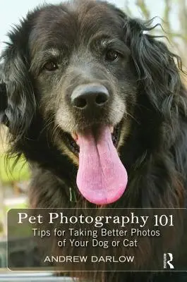 Fotografía de mascotas 101: Consejos para hacer mejores fotos de tu perro o gato - Pet Photography 101: Tips for Taking Better Photos of Your Dog or Cat