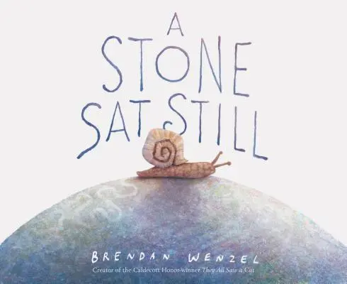 Una Piedra Quieta - A Stone SAT Still