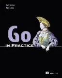 Ir a la práctica: Incluye 70 técnicas - Go in Practice: Includes 70 Techniques