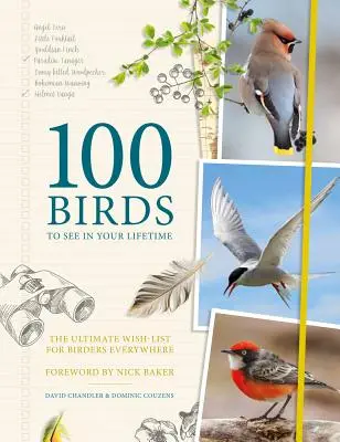 100 aves que ver en la vida: La lista definitiva de deseos para los observadores de aves de todo el mundo - 100 Birds to See in Your Lifetime: The Ultimate Wish-List for Birders Everywhere