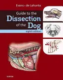 Guía para la disección del perro - Guide to the Dissection of the Dog