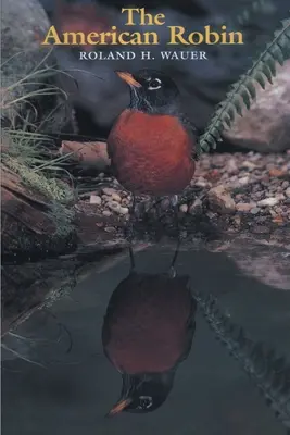 El petirrojo americano - The American Robin