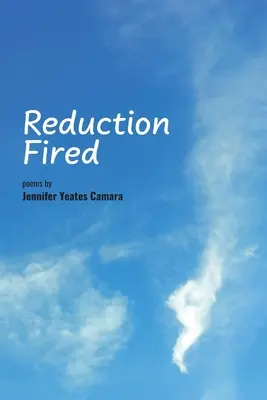 Reducción disparada: poemas concisos, tranquilos e intensos expresados sobre vibrantes escenas de la naturaleza - reflexiones para ondular en la mente - Reduction Fired: concise, quiet, and intense poems voiced over vibrant scenes of nature - reflections to ripple through the mind