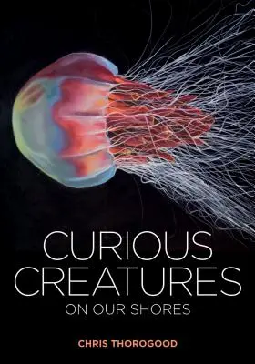 Criaturas curiosas de nuestras costas - Curious Creatures on Our Shores