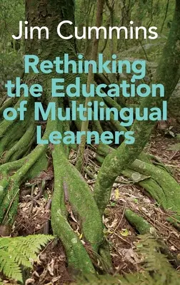 Repensar la educación de los alumnos multilingües: Un análisis crítico de los conceptos teóricos - Rethinking the Education of Multilingual Learners: A Critical Analysis of Theoretical Concepts