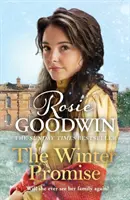 Promesa de invierno - De la autora del bestseller del Sunday Times - Winter Promise - From the Sunday Times bestselling author