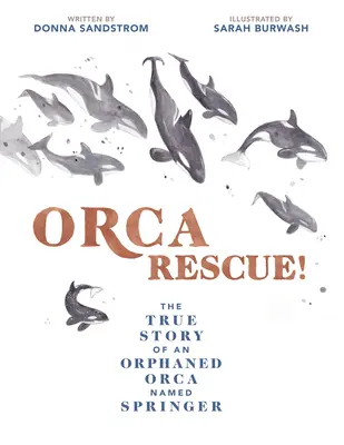 ¡Rescate de una Orca! La verdadera historia de una orca huérfana llamada Springer - Orca Rescue!: The True Story of an Orphaned Orca Named Springer