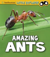 Hormigas asombrosas - Amazing Ants