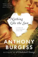 Nada como el sol: Historia de la vida amorosa de Shakespeare - Nothing Like the Sun: A Story of Shakespeare's Love-Life