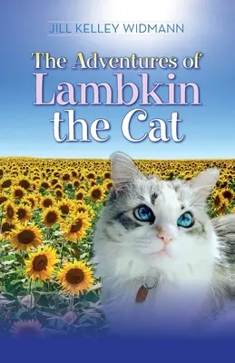 Las aventuras del gato Lambkin - The Adventures of Lambkin the Cat
