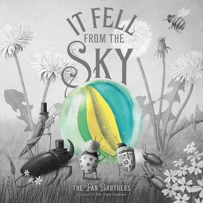 Cayó del cielo - It Fell from the Sky