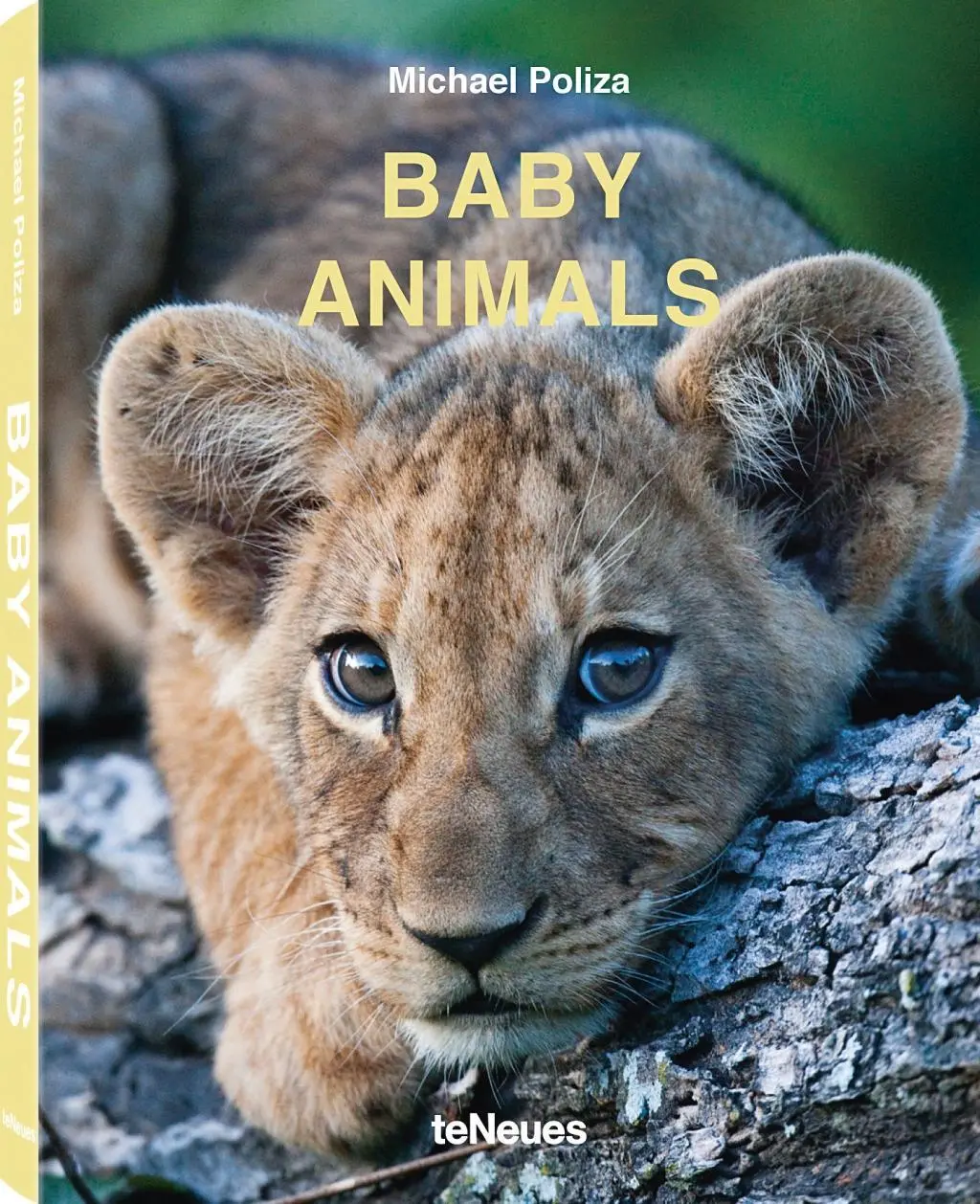 Animales bebés - Baby Animals