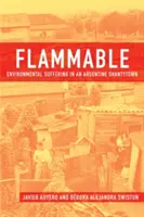 Inflamable: Sufrimiento medioambiental en un barrio de chabolas argentino - Flammable: Environmental Suffering in an Argentine Shantytown