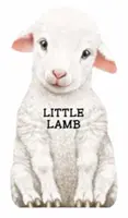 Corderito - Little Lamb