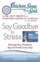 Sopa de pollo para el alma: Di adiós al estrés: Gestione sus problemas, grandes y pequeños, cada día - Chicken Soup for the Soul: Say Goodbye to Stress: Manage Your Problems, Big and Small, Every Day