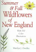 Flores silvestres de verano y otoño de Nueva Inglaterra - Summer & Fall Wildflowers of New England