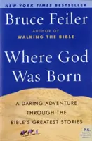 Donde nació Dios: Una audaz aventura a través de las grandes historias de la Biblia - Where God Was Born: A Daring Adventure Through the Bible's Greatest Stories