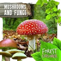 Setas y hongos - Mushrooms & Fungi